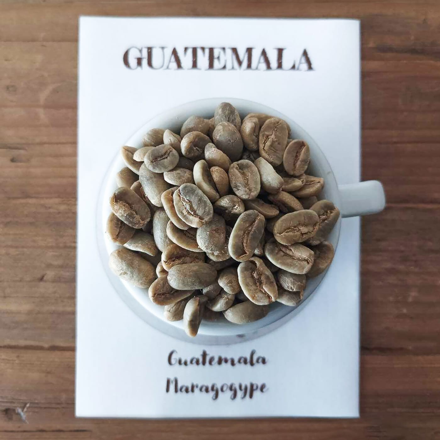 Guatemala Maragogype Caffè Fusari