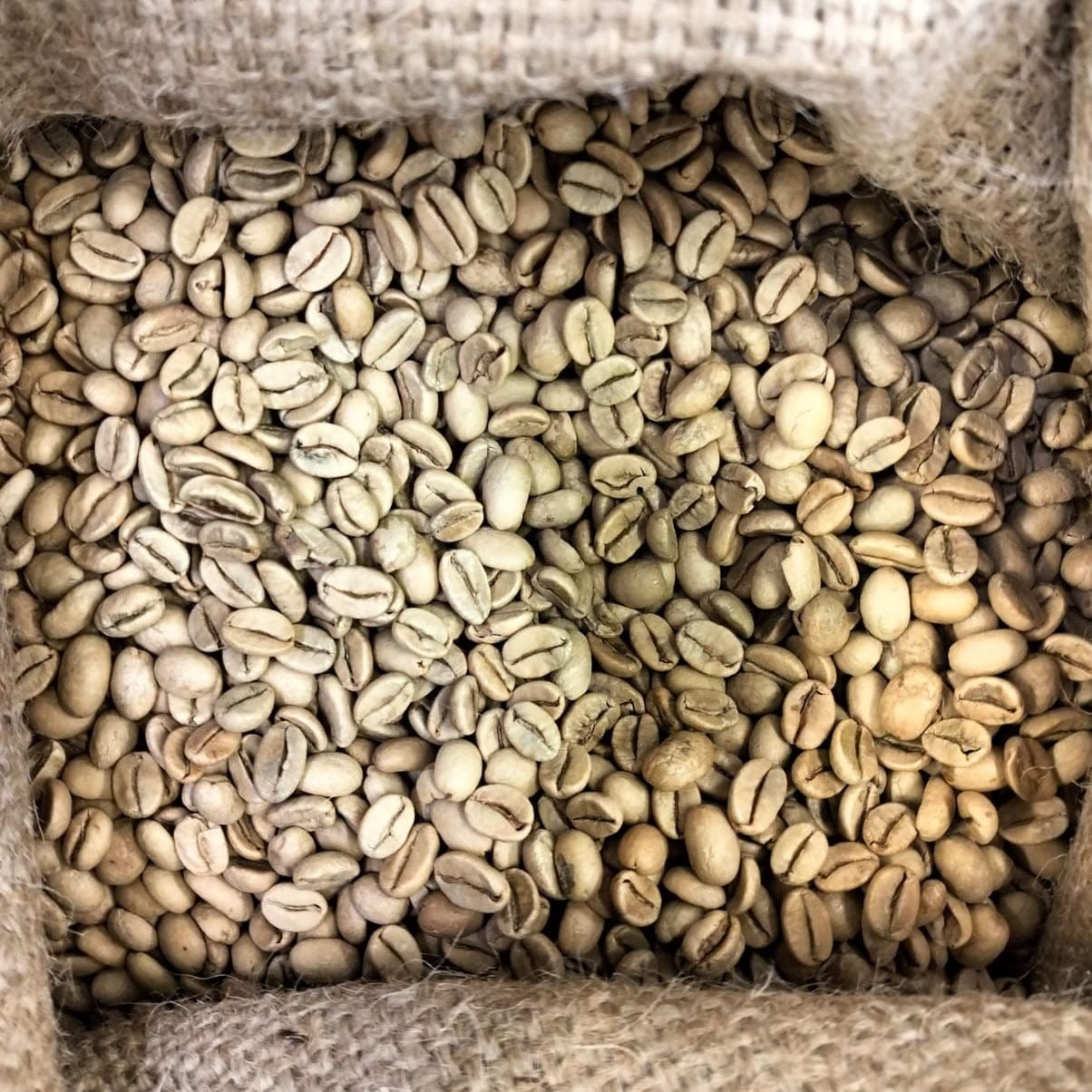 INDIA Monsonato Caffè Fusari