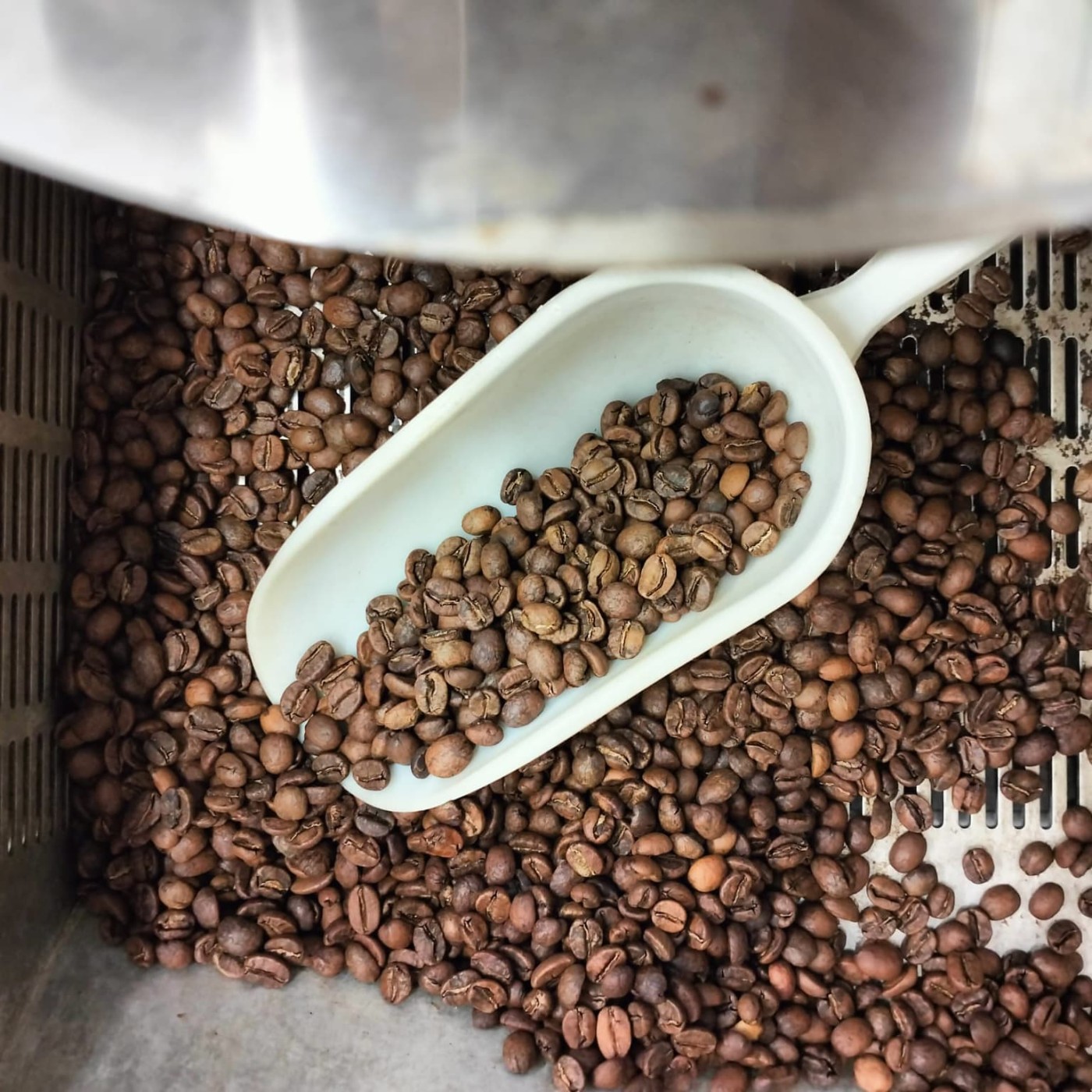 FUSARI BIO ORGANIC Caffè Fusari